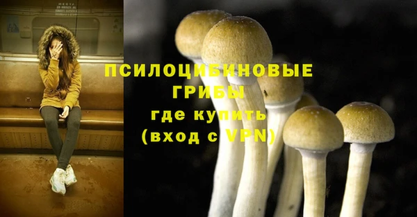 прущие крисы Дмитриев
