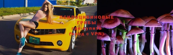 прущие крисы Дмитриев