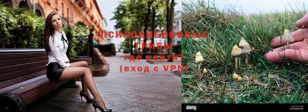 ГАЛЛЮЦИНОГЕННЫЕ ГРИБЫ Дмитров