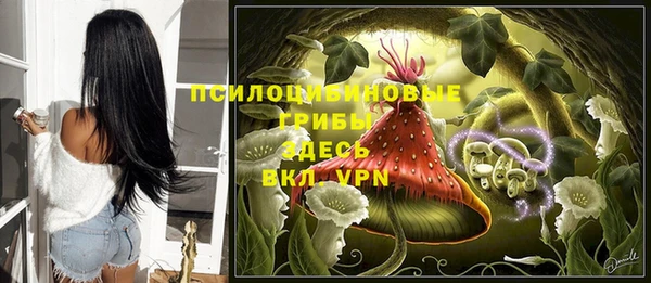 мдпв Дмитровск
