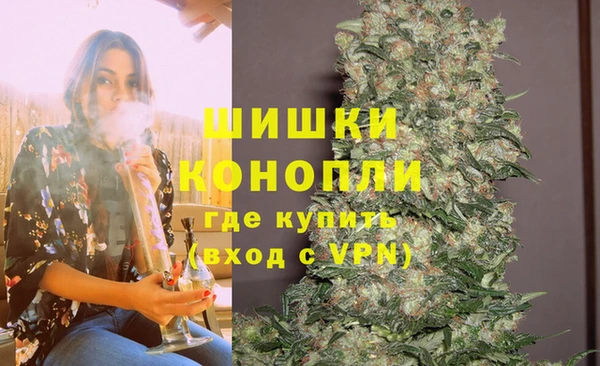 мдпв Дмитровск