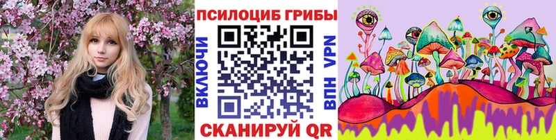 Купить где  Кунгур  Галлюциногенные грибы мухоморы 