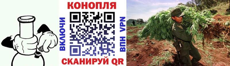 Купить где  Кунгур  Конопля конопля 